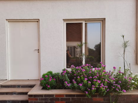 Krok za krokem: Návod na stavbu pergoly pro každou zahradu